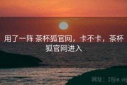 用了一阵 茶杯狐官网，卡不卡，茶杯狐官网进入