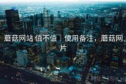 蘑菇网站 值不值｜使用备注，蘑菇网片