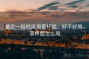 最近一段时间用茶杯狐，好不好用，茶杯狐怎么用