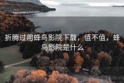 折腾过用蜂鸟影院下载，值不值，蜂鸟影院是什么