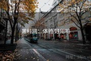 黑料网：体验 好用吗