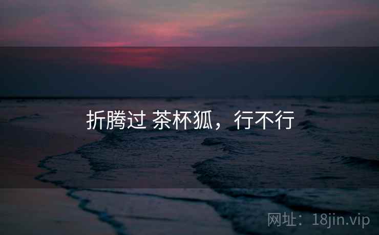 折腾过 茶杯狐，行不行