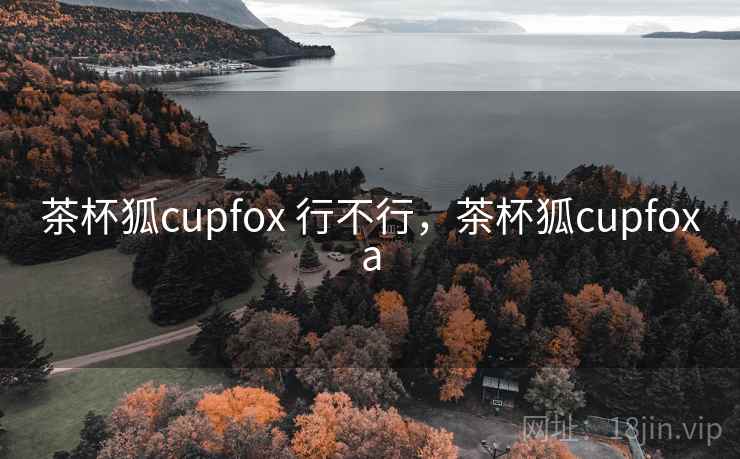 茶杯狐cupfox 行不行，茶杯狐cupfoxa