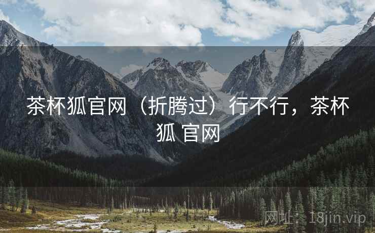 茶杯狐官网（折腾过）行不行，茶杯狐 官网