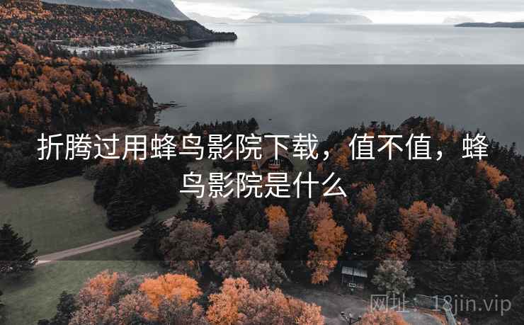 折腾过用蜂鸟影院下载，值不值，蜂鸟影院是什么
